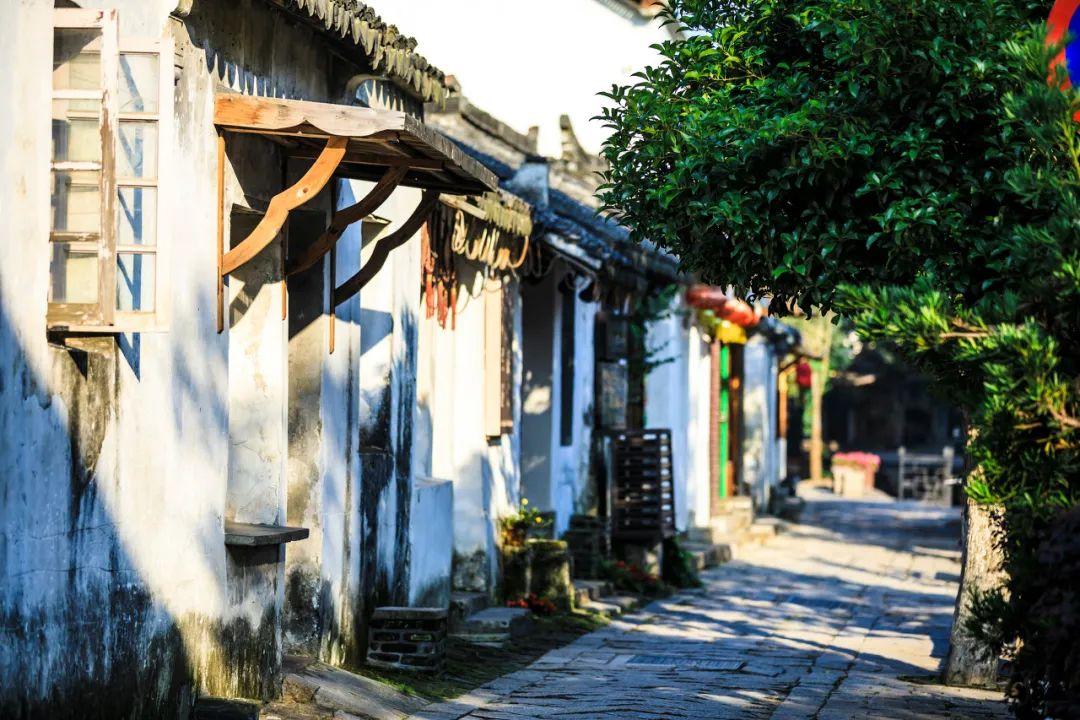 探索羊骨高汤怎么做,求解答,发现更多乐趣